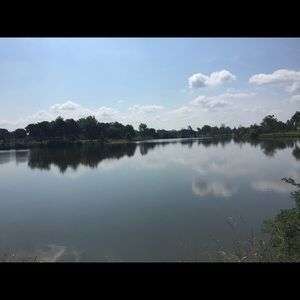 Meet your Posher, Daisy